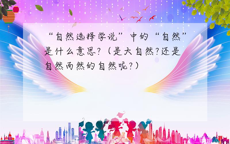 “自然选择学说”中的“自然”是什么意思?（是大自然?还是自然而然的自然呢?）