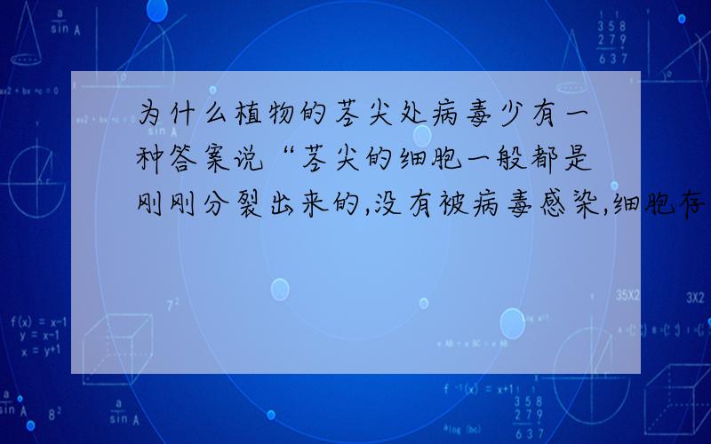 为什么植物的茎尖处病毒少有一种答案说“茎尖的细胞一般都是刚刚分裂出来的,没有被病毒感染,细胞存在的越久,被病毒感染的概率越大,所以组培的时候选用刚分裂的细胞.”我觉得不科学