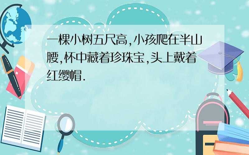 一棵小树五尺高,小孩爬在半山腰,怀中藏着珍珠宝,头上戴着红缨帽.