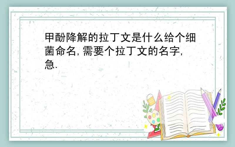 甲酚降解的拉丁文是什么给个细菌命名,需要个拉丁文的名字,急.