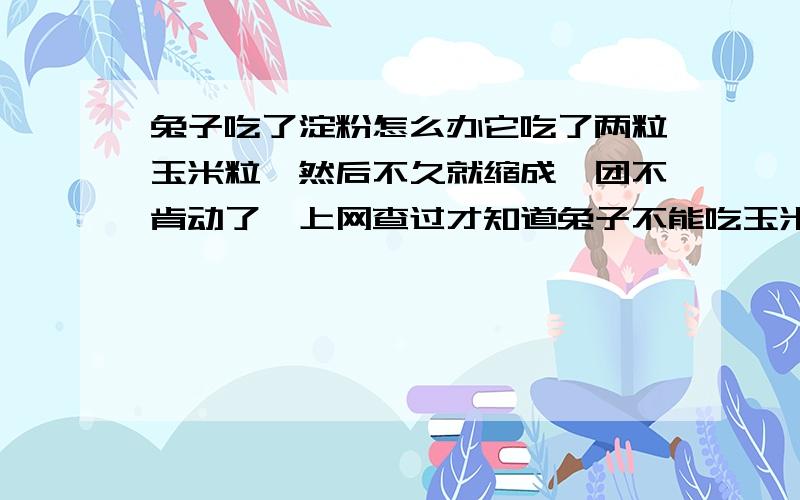 兔子吃了淀粉怎么办它吃了两粒玉米粒,然后不久就缩成一团不肯动了,上网查过才知道兔子不能吃玉米等淀粉东西,求救