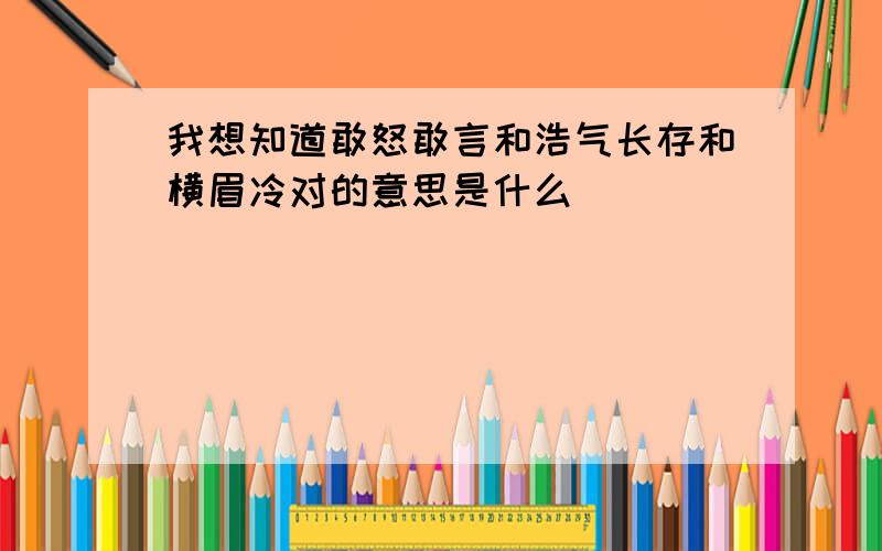 我想知道敢怒敢言和浩气长存和横眉冷对的意思是什么