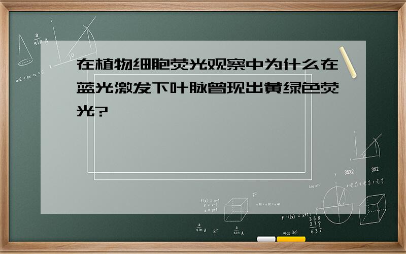 在植物细胞荧光观察中为什么在蓝光激发下叶脉曾现出黄绿色荧光?