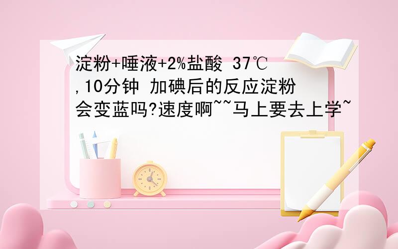 淀粉+唾液+2%盐酸 37℃,10分钟 加碘后的反应淀粉会变蓝吗?速度啊~~马上要去上学~