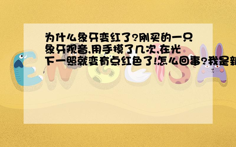 为什么象牙变红了?刚买的一只象牙观音,用手摸了几次,在光下一照就变有点红色了!怎么回事?我是新手