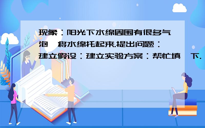 现象：阳光下水绵周围有很多气泡,将水绵托起来.提出问题：建立假设：建立实验方案：帮忙填一下.