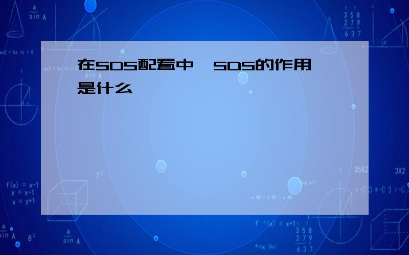 在SDS配置中,SDS的作用是什么