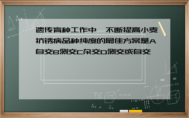 遗传育种工作中,不断提高小麦抗锈病品种纯度的最佳方案是A自交B测交C杂交D测交或自交