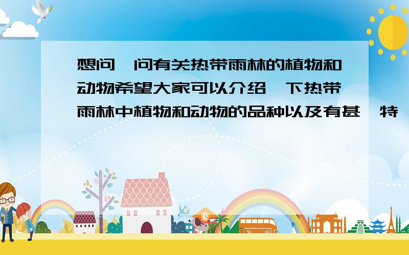 想问一问有关热带雨林的植物和动物希望大家可以介绍一下热带雨林中植物和动物的品种以及有甚麼特徵而且希望大家可以介绍一些有代表性或特别的品种,愈多品种愈好