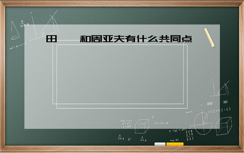 田穰苴和周亚夫有什么共同点