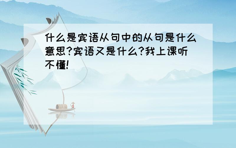 什么是宾语从句中的从句是什么意思?宾语又是什么?我上课听不懂!