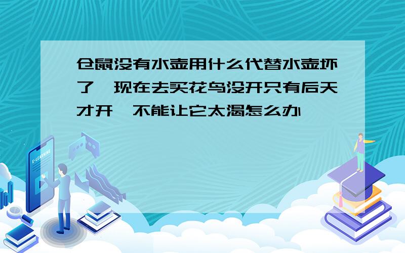 仓鼠没有水壶用什么代替水壶坏了,现在去买花鸟没开只有后天才开,不能让它太渴怎么办