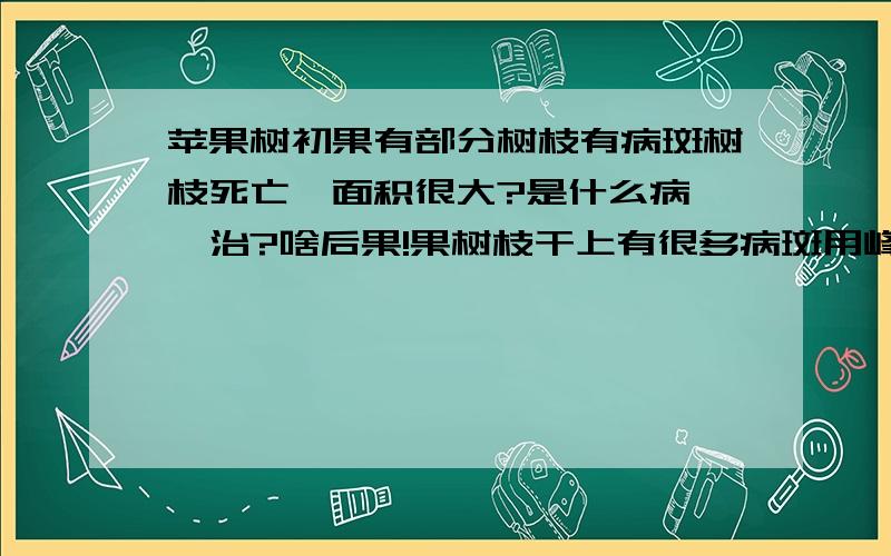 苹果树初果有部分树枝有病斑树枝死亡,面积很大?是什么病,咋治?啥后果!果树枝干上有很多病斑用峰腐轮特稀释后涂到斑上就可以了吗?