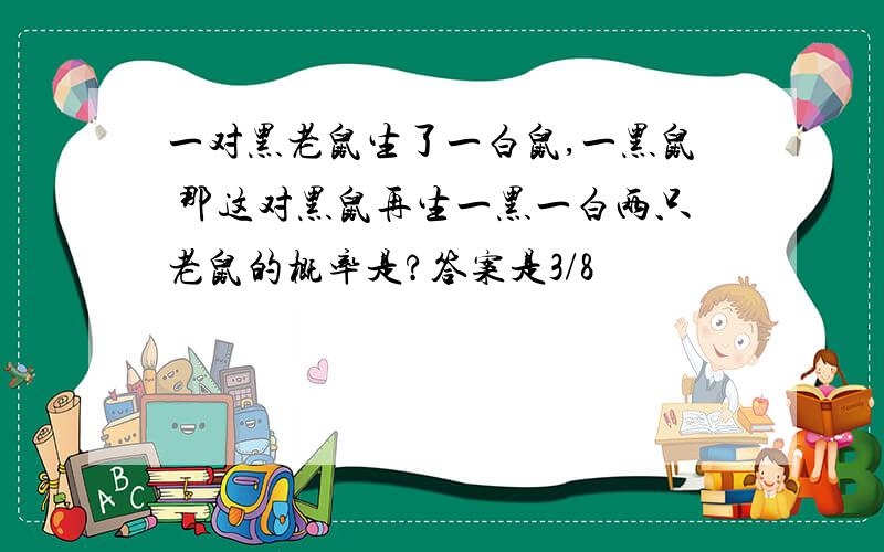 一对黑老鼠生了一白鼠,一黑鼠 那这对黑鼠再生一黑一白两只老鼠的概率是?答案是3/8