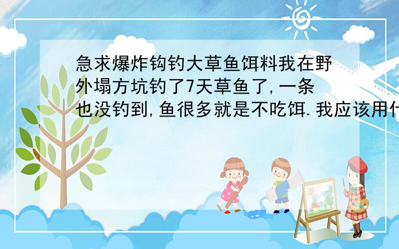 急求爆炸钩钓大草鱼饵料我在野外塌方坑钓了7天草鱼了,一条也没钓到,鱼很多就是不吃饵.我应该用什么饵料.很多人都钓,可是鱼就是不吃饵.