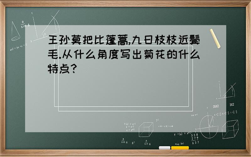 王孙莫把比蓬蒿,九日枝枝近鬓毛.从什么角度写出菊花的什么特点?