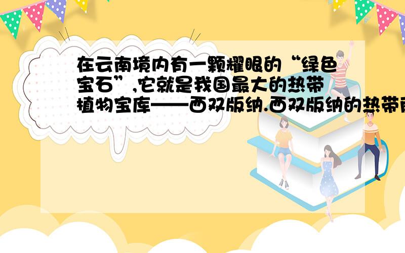 在云南境内有一颗耀眼的“绿色宝石”,它就是我国最大的热带植物宝库——西双版纳.西双版纳的热带雨林古木参天,藤萝蔽日,进入林中就像到了奇花异树的海洋.这里的望天树高达七、八十