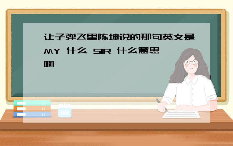 让子弹飞里陈坤说的那句英文是MY 什么 SIR 什么意思啊