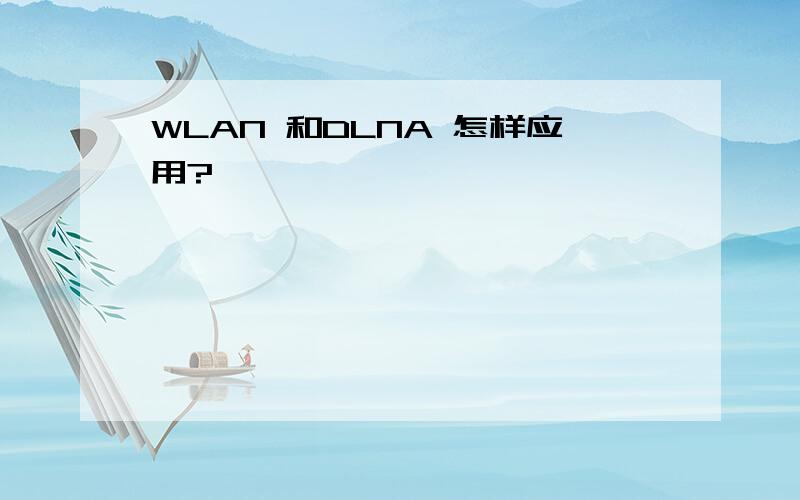 WLAN 和DLNA 怎样应用?