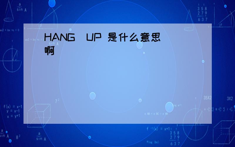 HANG  UP 是什么意思啊