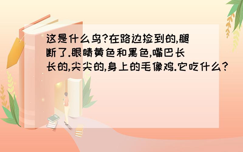 这是什么鸟?在路边捡到的,腿断了.眼睛黄色和黑色,嘴巴长长的,尖尖的,身上的毛像鸡.它吃什么?