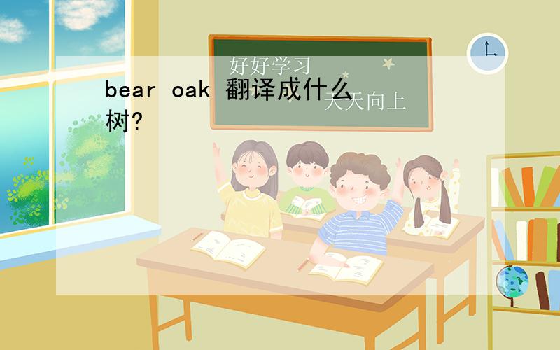 bear oak 翻译成什么树?