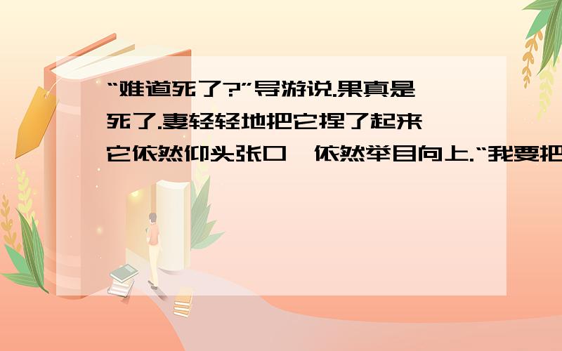 “难道死了?”导游说.果真是死了.妻轻轻地把它捏了起来,它依然仰头张口、依然举目向上.“我要把它留作杯本.”妻说着,含泪把它放进了矿泉水瓶中.但是,半夜间一阵“窸窸窣窣”的声音把