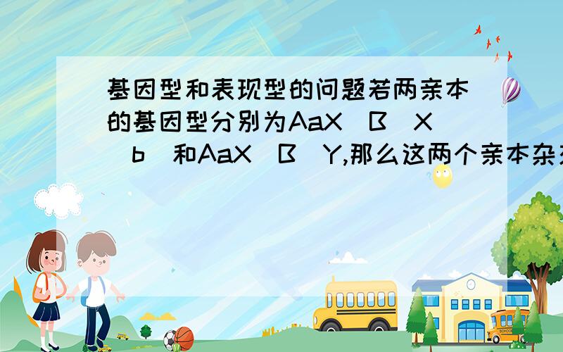 基因型和表现型的问题若两亲本的基因型分别为AaX(B)X(b)和AaX(B)Y,那么这两个亲本杂交的子代中表现型有_____种,基因型有______种.请说明理由或思路.