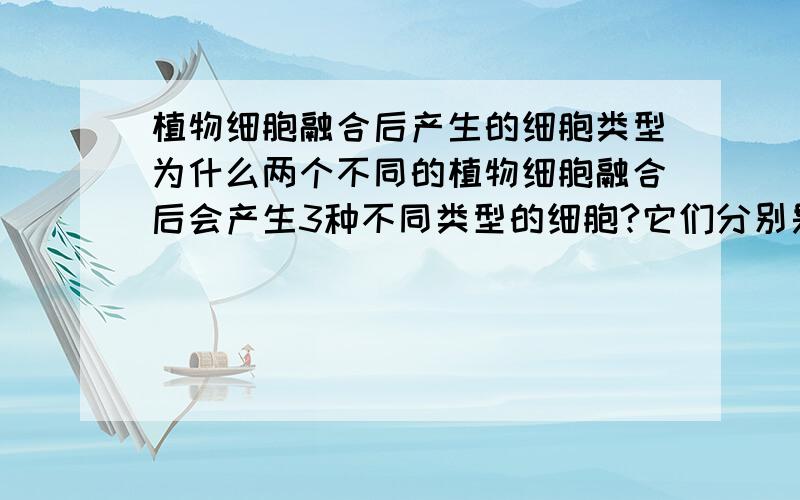 植物细胞融合后产生的细胞类型为什么两个不同的植物细胞融合后会产生3种不同类型的细胞?它们分别是什么?