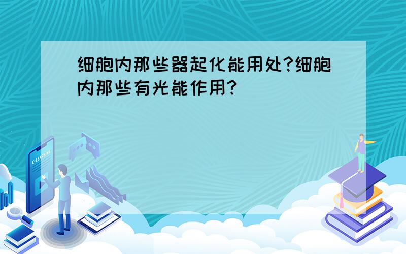 细胞内那些器起化能用处?细胞内那些有光能作用?