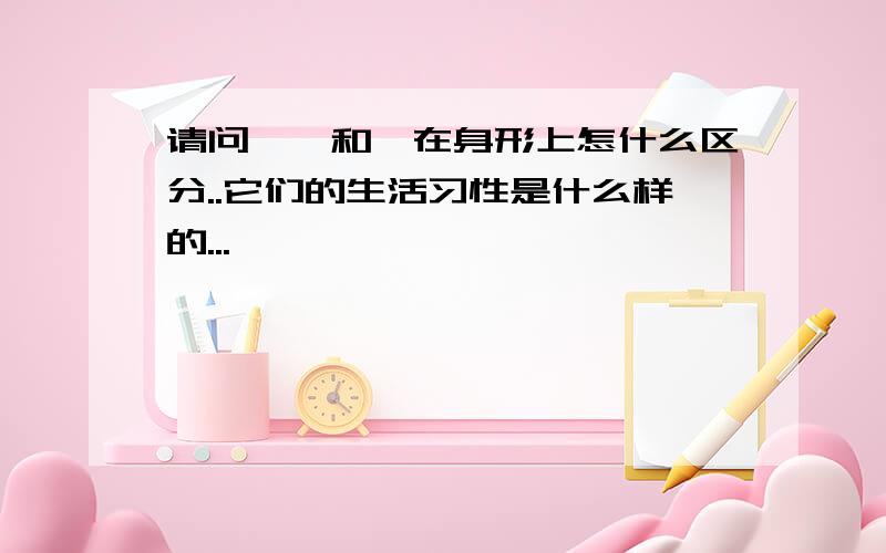 请问,蟒和蚺在身形上怎什么区分..它们的生活习性是什么样的...