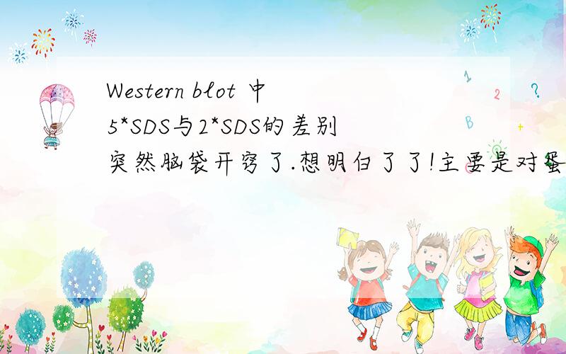 Western blot 中5*SDS与2*SDS的差别突然脑袋开窍了.想明白了了!主要是对蛋白最佳的利用啦,特别是蛋白浓度低的时候.