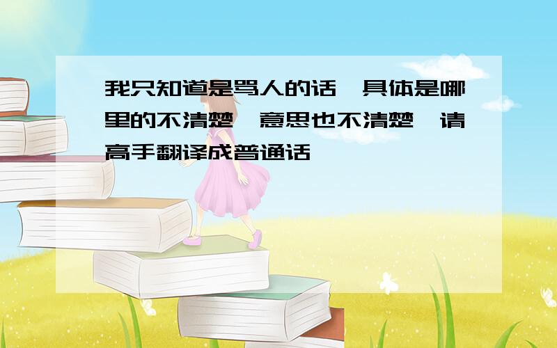 我只知道是骂人的话,具体是哪里的不清楚,意思也不清楚,请高手翻译成普通话,