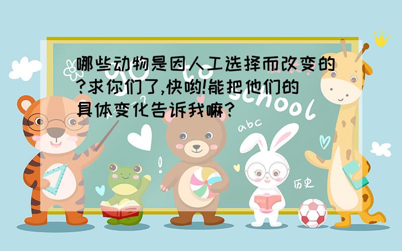 哪些动物是因人工选择而改变的?求你们了,快哟!能把他们的具体变化告诉我嘛?