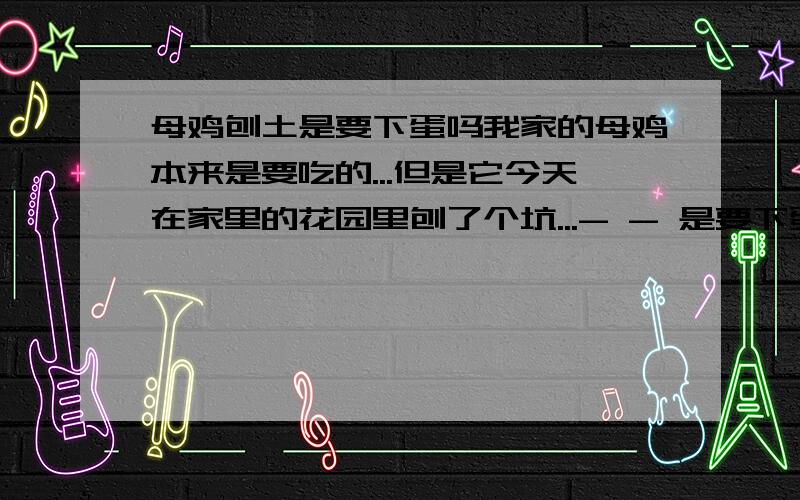 母鸡刨土是要下蛋吗我家的母鸡本来是要吃的...但是它今天在家里的花园里刨了个坑...- - 是要下蛋了么?(⊙o⊙好奇） ...（它趴在坑上不动）