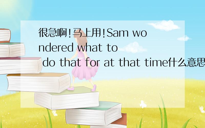 很急啊!马上用!Sam wondered what to do that for at that time什么意思