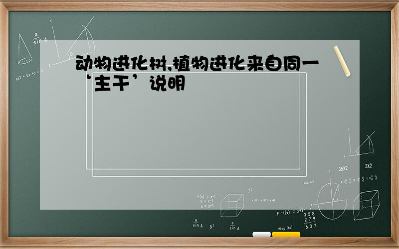 动物进化树,植物进化来自同一‘主干’说明