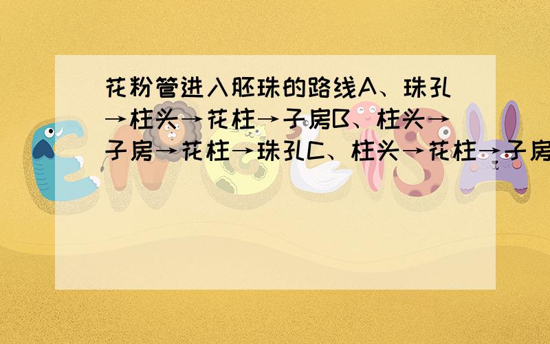 花粉管进入胚珠的路线A、珠孔→柱头→花柱→子房B、柱头→子房→花柱→珠孔C、柱头→花柱→子房→珠孔D、柱头→花柱→子房→珠被→珠孔