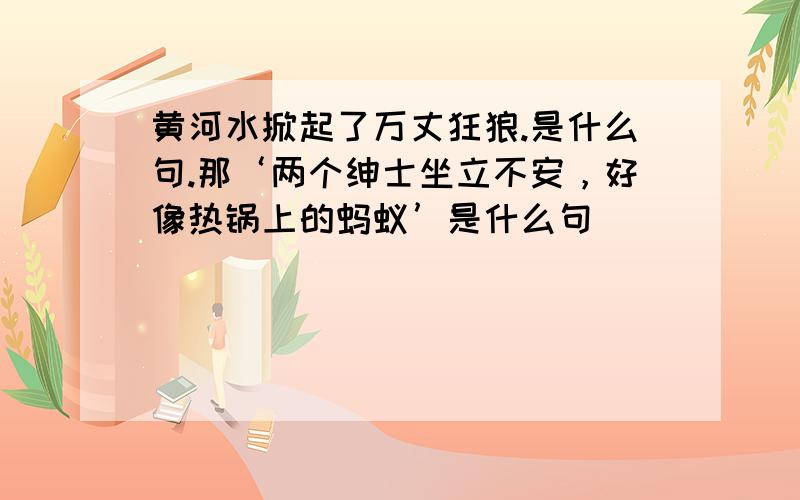 黄河水掀起了万丈狂狼.是什么句.那‘两个绅士坐立不安，好像热锅上的蚂蚁’是什么句