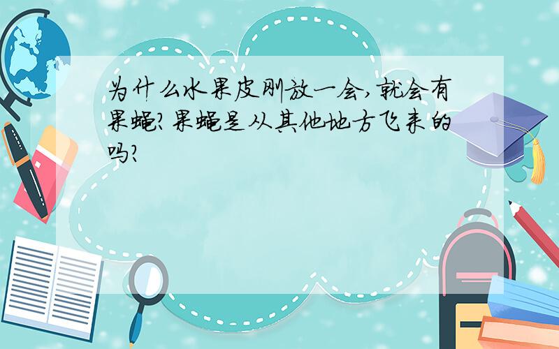 为什么水果皮刚放一会,就会有果蝇?果蝇是从其他地方飞来的吗?