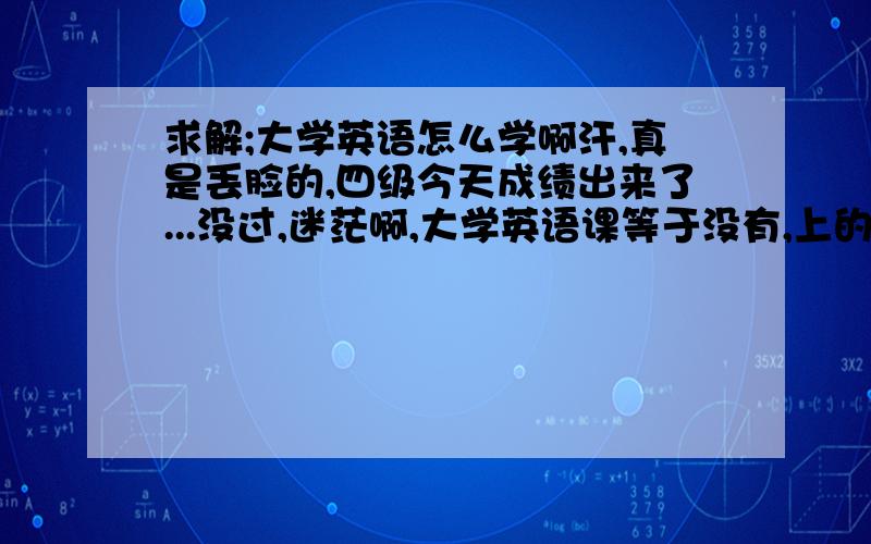 求解;大学英语怎么学啊汗,真是丢脸的,四级今天成绩出来了...没过,迷茫啊,大学英语课等于没有,上的等于没上,要怎么考四级呢?