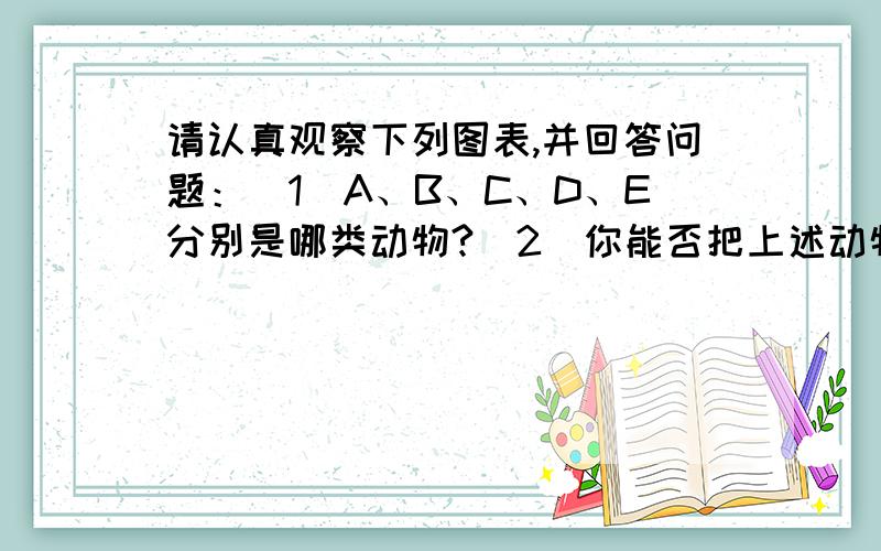 请认真观察下列图表,并回答问题：（1）A、B、C、D、E分别是哪类动物?（2）你能否把上述动物按一定顺序（3）通过上面分析,你认为动物分类要考虑哪些特征?