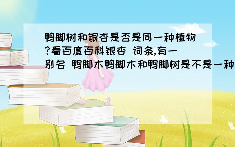 鸭脚树和银杏是否是同一种植物?看百度百科银杏 词条,有一别名 鸭脚木鸭脚木和鸭脚树是不是一种?鹅掌柴是啥?看样子和银杏一点都不一样呀那么说只是名字一样?