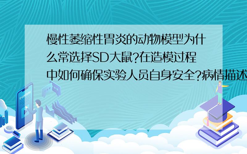 慢性萎缩性胃炎的动物模型为什么常选择SD大鼠?在造模过程中如何确保实验人员自身安全?病情描述(发病时间、主要症状等)：1.SD大鼠及wistar大鼠有什么区别?有没有文献支持?2.要造萎缩性胃