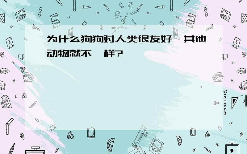 为什么狗狗对人类很友好,其他动物就不一样?