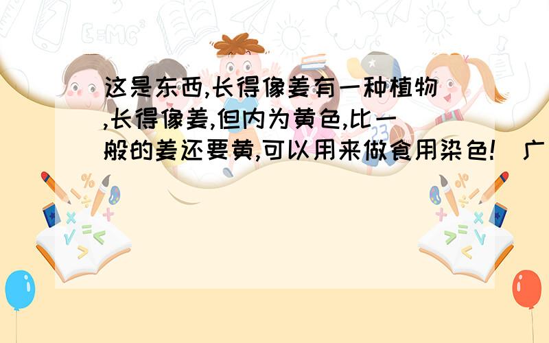 这是东西,长得像姜有一种植物,长得像姜,但内为黄色,比一般的姜还要黄,可以用来做食用染色!（广西人可以拿来做五色米饭的染料,很香,）谁知道是什么?