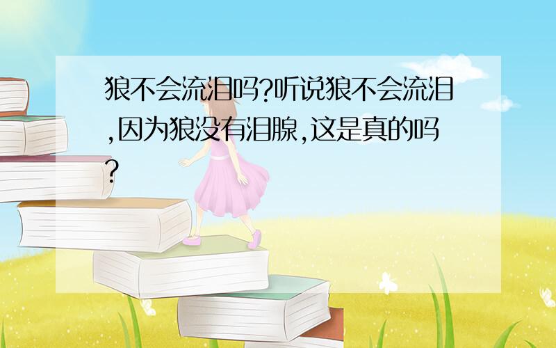 狼不会流泪吗?听说狼不会流泪,因为狼没有泪腺,这是真的吗?