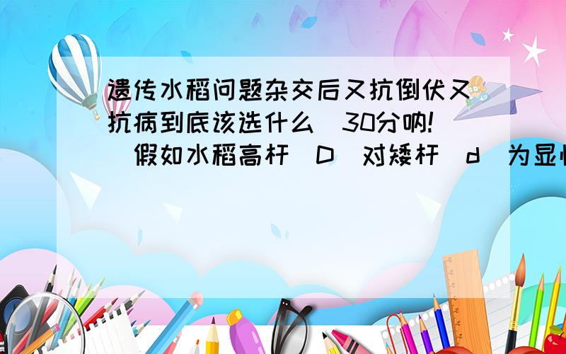 遗传水稻问题杂交后又抗倒伏又抗病到底该选什么（30分呐!）假如水稻高杆（D）对矮杆（d）为显性,抗稻瘟病（R）对易感稻瘟病（r）为显性,两对性状独立遗传.现用一个纯合易感稻瘟病的矮