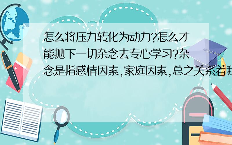 怎么将压力转化为动力?怎么才能抛下一切杂念去专心学习?杂念是指感情因素,家庭因素,总之关系着我的重要因素.请人帮我疏通思想.感激不尽!