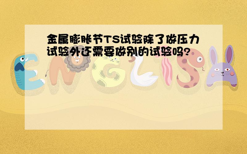 金属膨胀节TS试验除了做压力试验外还需要做别的试验吗?